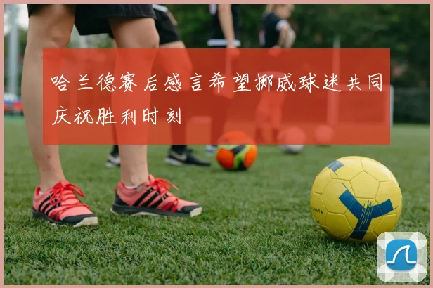 哈兰德赛后感言希望挪威球迷共同庆祝胜利时刻
